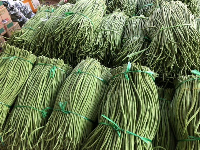 广东徐闻靓豆角，产地直供，露天种植，源头发货，物美价廉