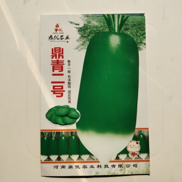 鼎青二号萝卜种子口感甜脆商品性好整齐一致皮光滑