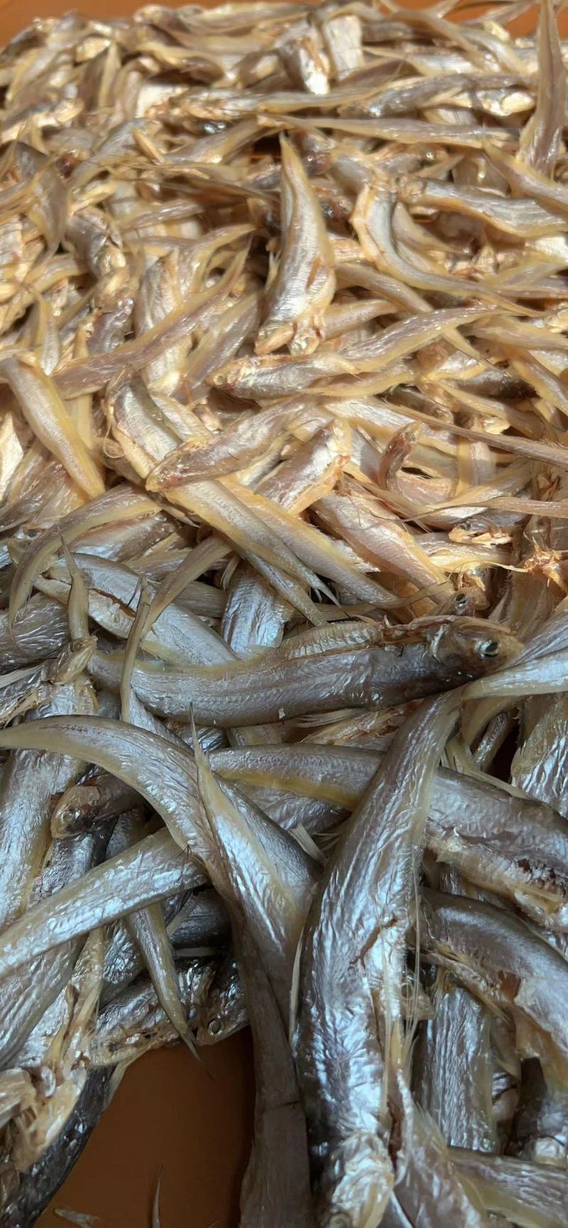 干鱼毛刀鱼产地一手货源口感好诚信合作欢迎选购
