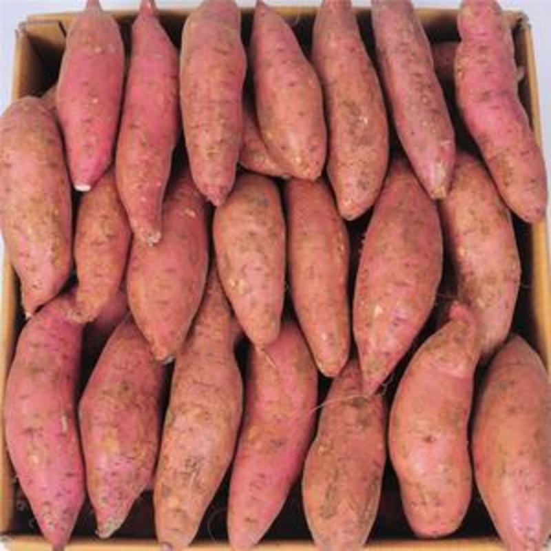 山东红薯，品种齐全，规格丰富，香甜可口，支持全国发货。。