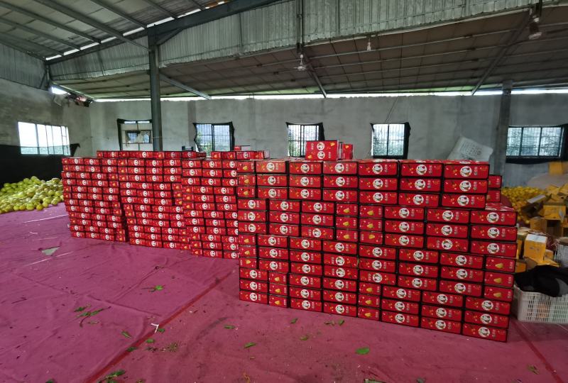 爆汁葡萄柚，落地配社区团购，一件代发，整车发货，欢迎对接