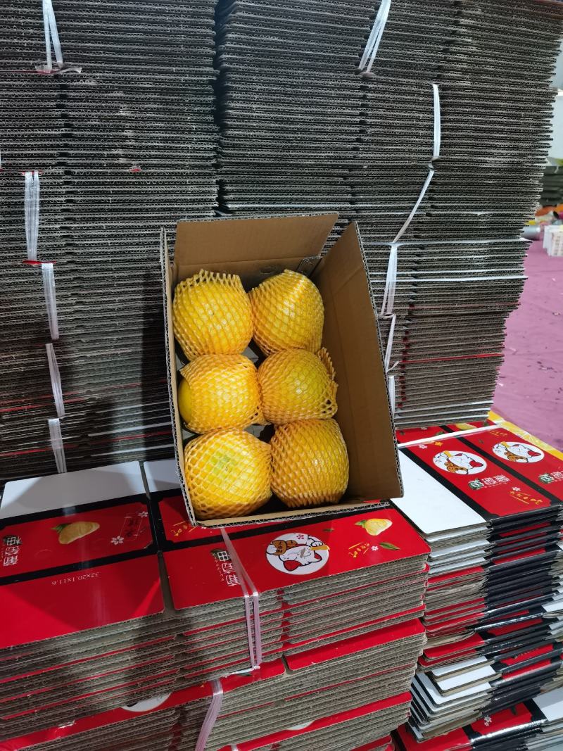 爆汁葡萄柚，落地配社区团购，一件代发，整车发货，欢迎对接