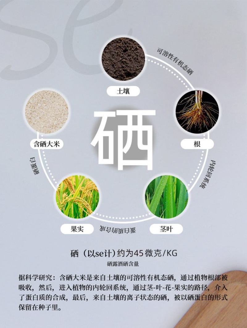 白酒含硒大米精酿小白酒清香型42度小瓶装100ml整箱批