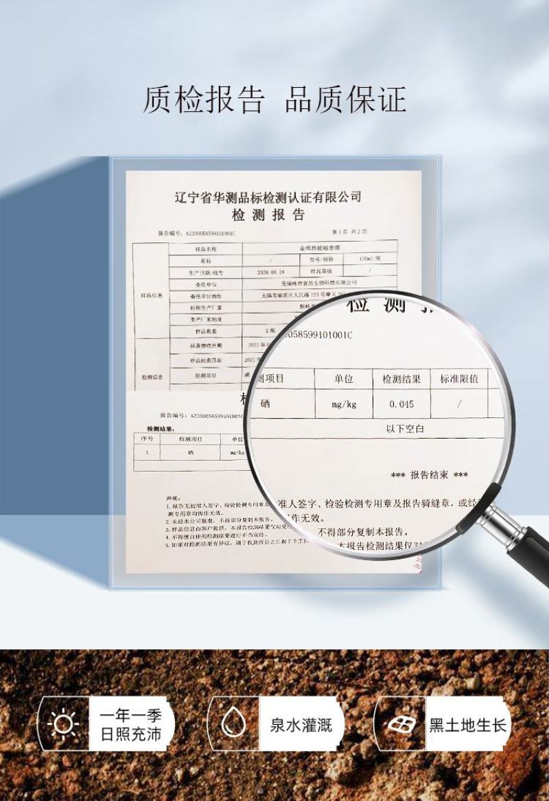 白酒含硒大米精酿小白酒清香型42度小瓶装100ml整箱批