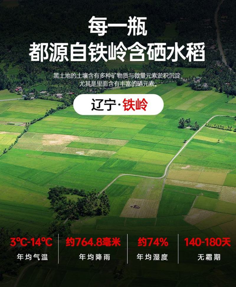 白酒含硒大米精酿小白酒清香型42度小瓶装100ml整箱批