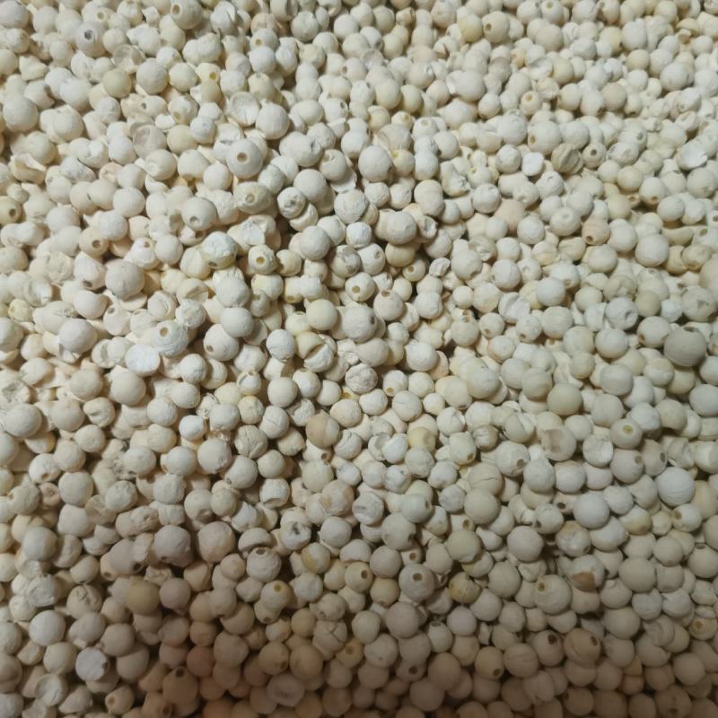 鸡头米干货苏芡干货芡实米干鸡头米干苏芡