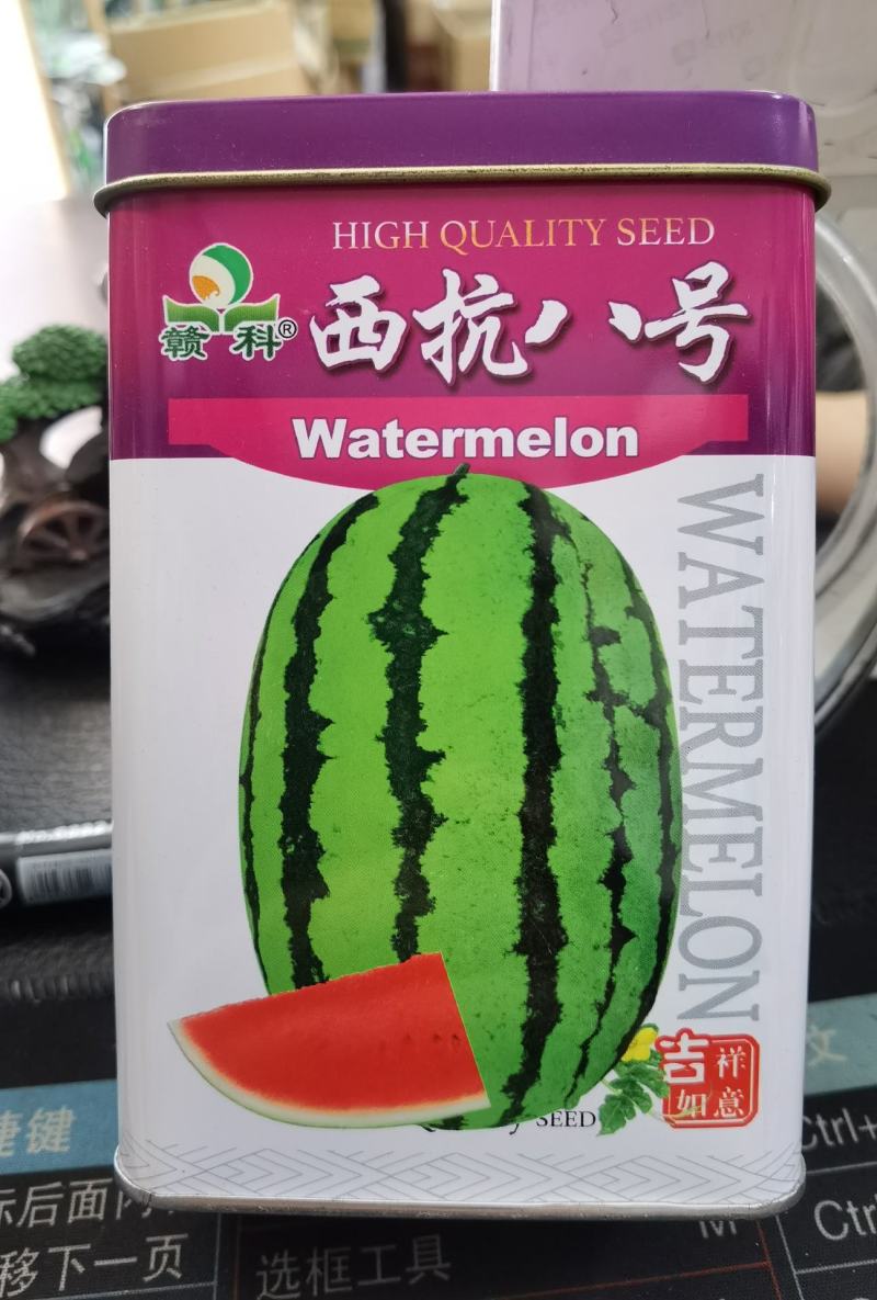 西抗八号花皮西瓜种子瓜农农户种植户大面积种植优质品种