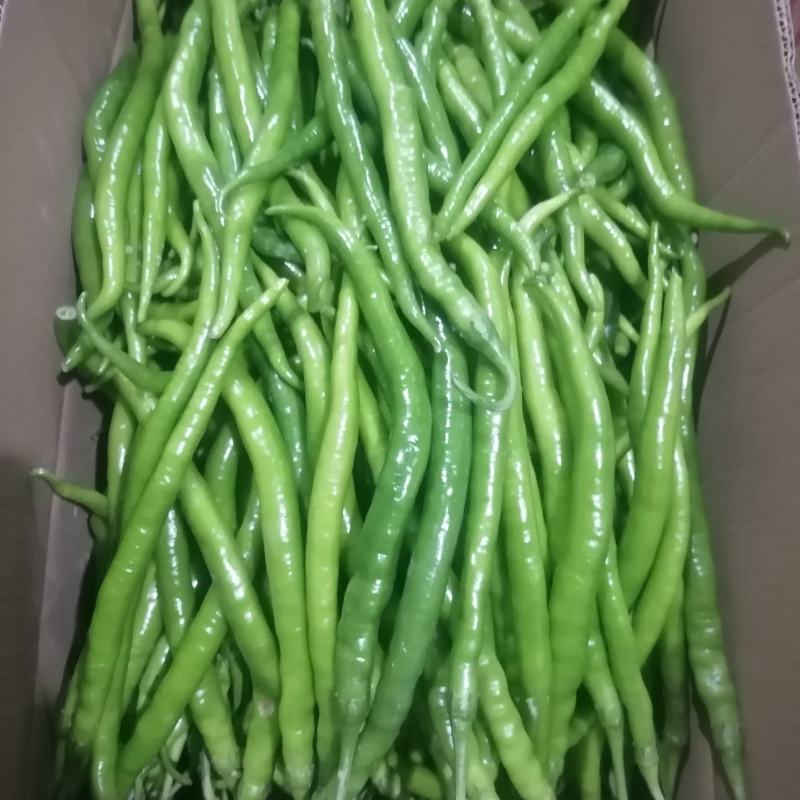 辣椒