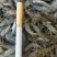 山根鱼2-45-7的规格，一手货源，质量保证，视频