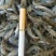 山根鱼2-45-7的规格，一手货源，质量保证，视频