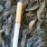山根鱼2-45-7的规格，一手货源，质量保证，视频