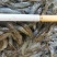 山根鱼2-45-7的规格，一手货源，质量保证，视频