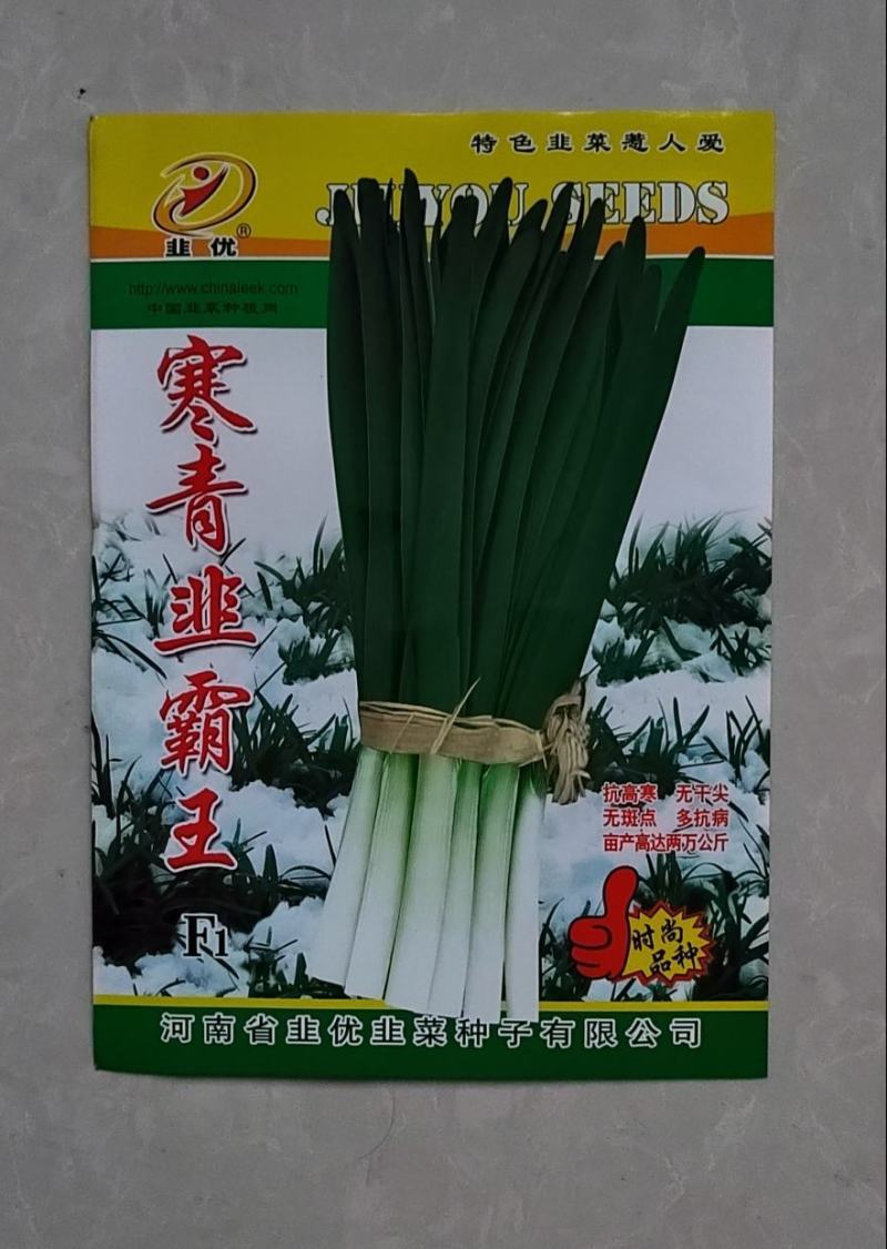 抗寒韭菜品种～寒青韭霸王f1韭菜种子，韭菜新品种推荐粗壮