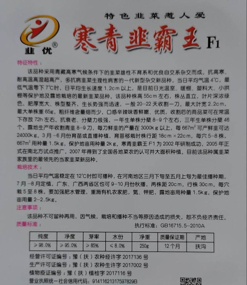 抗寒韭菜品种～寒青韭霸王f1韭菜种子，韭菜新品种推荐粗壮