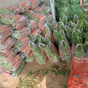 胡萝卜，带樱萝卜，水洗，一手货源，品质保证全国发货