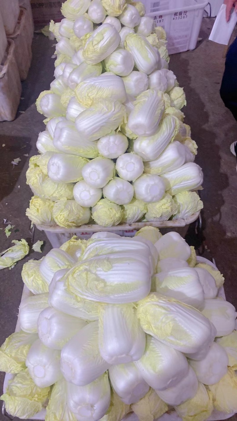 娃娃菜