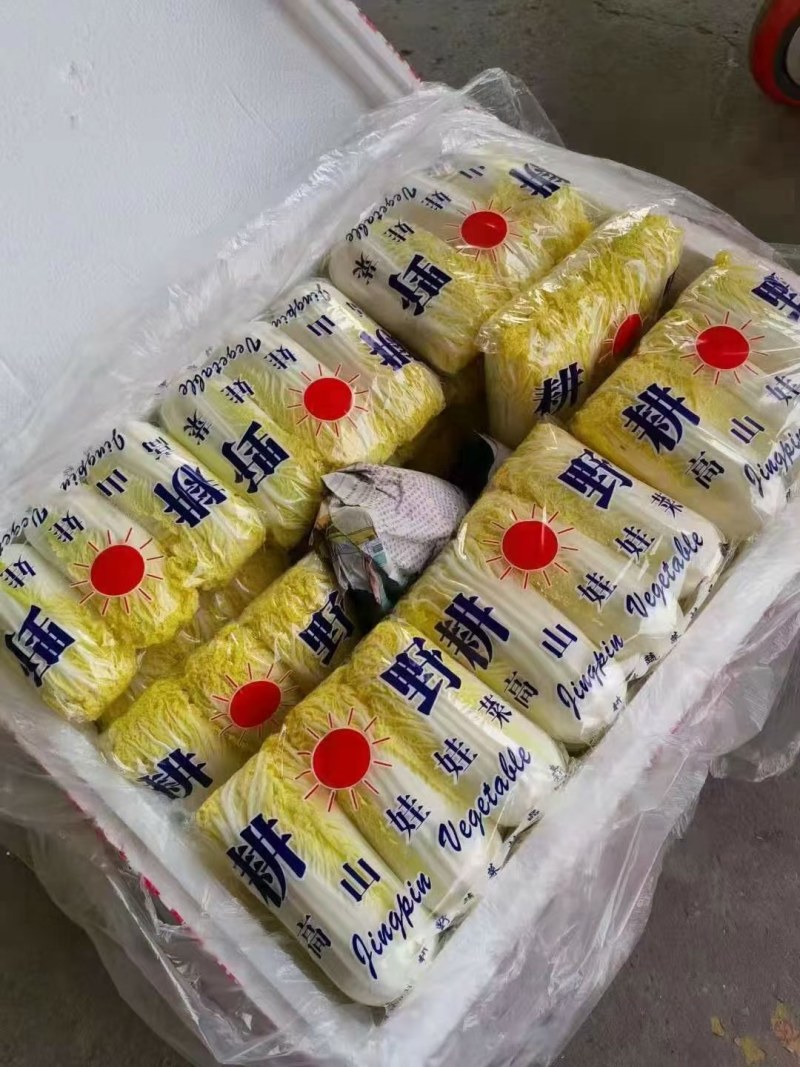 娃娃菜