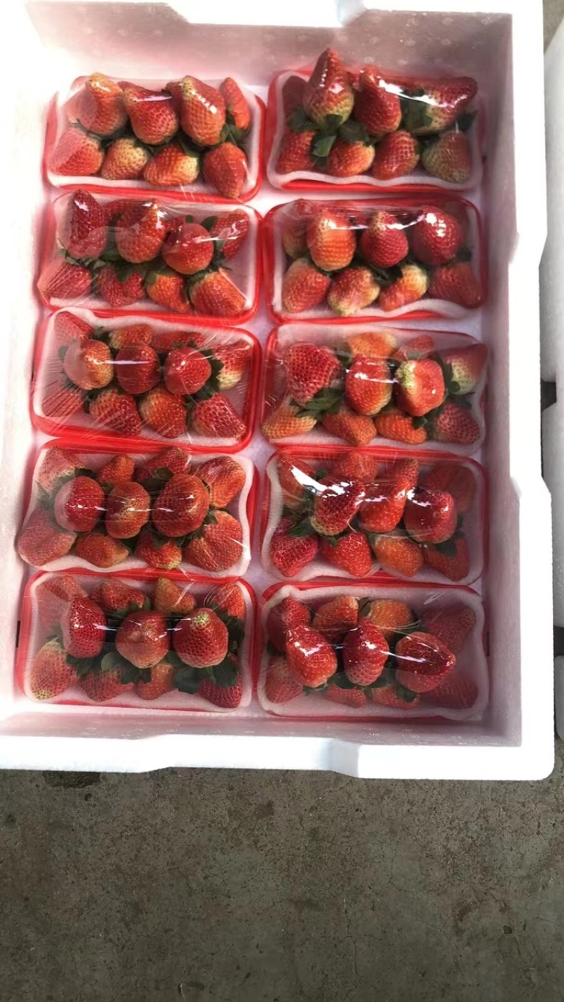 草莓