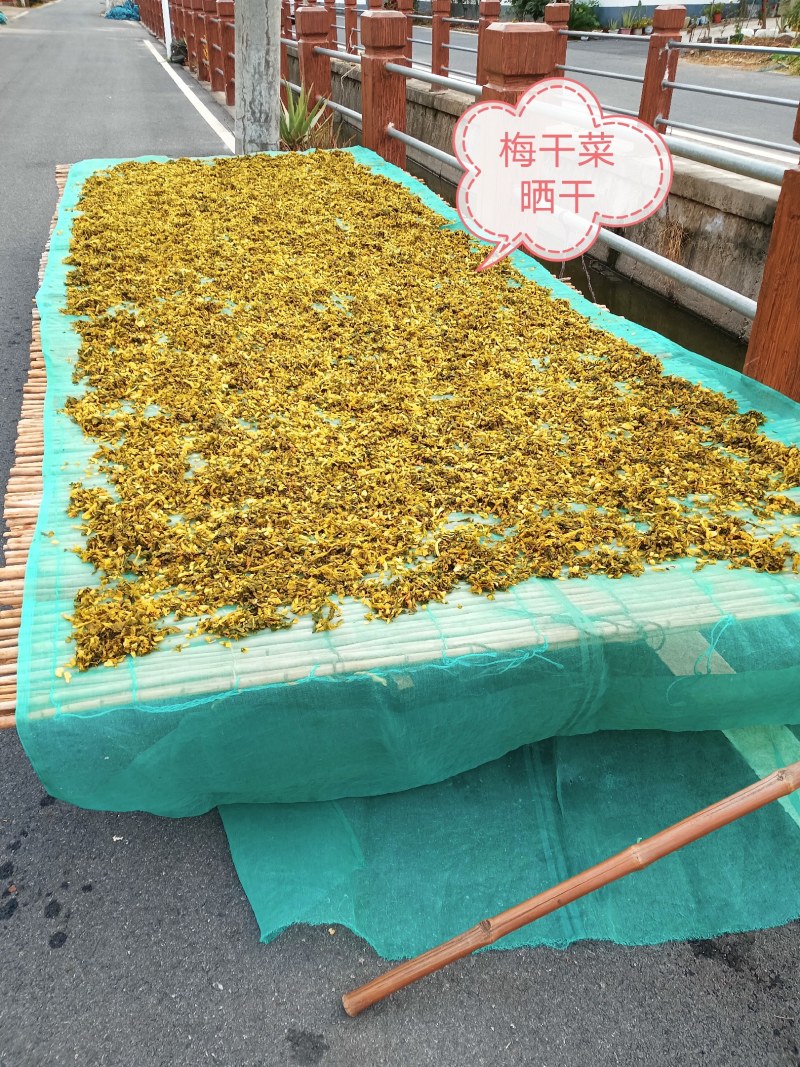 绍兴梅干菜八仙芥菜干净无沙无老梗，原汁原味咸淡适宜。