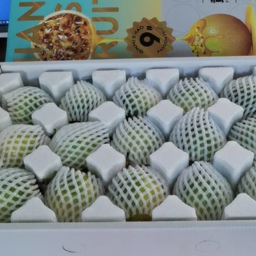 【单品】海南精品黄金百香果钦蜜9号包邮一件代发