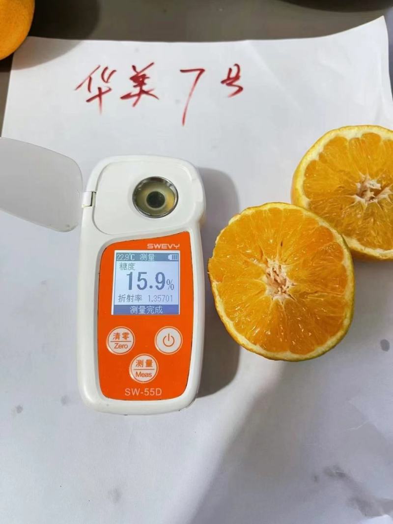 华美7号枝条，欢迎实地考察，快递包邮，数量大可砍价