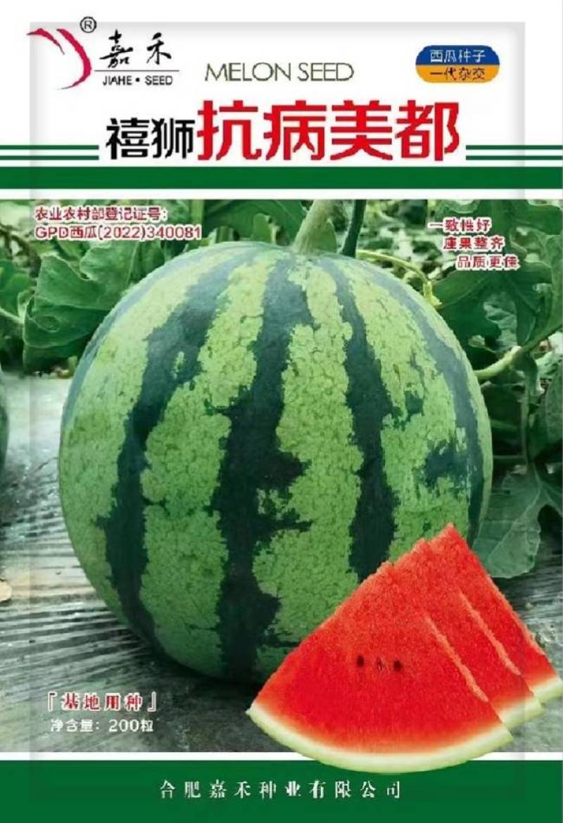 美都西瓜种子抗病薄皮红瓤耐裂耐运输甜脆多汁大田专用