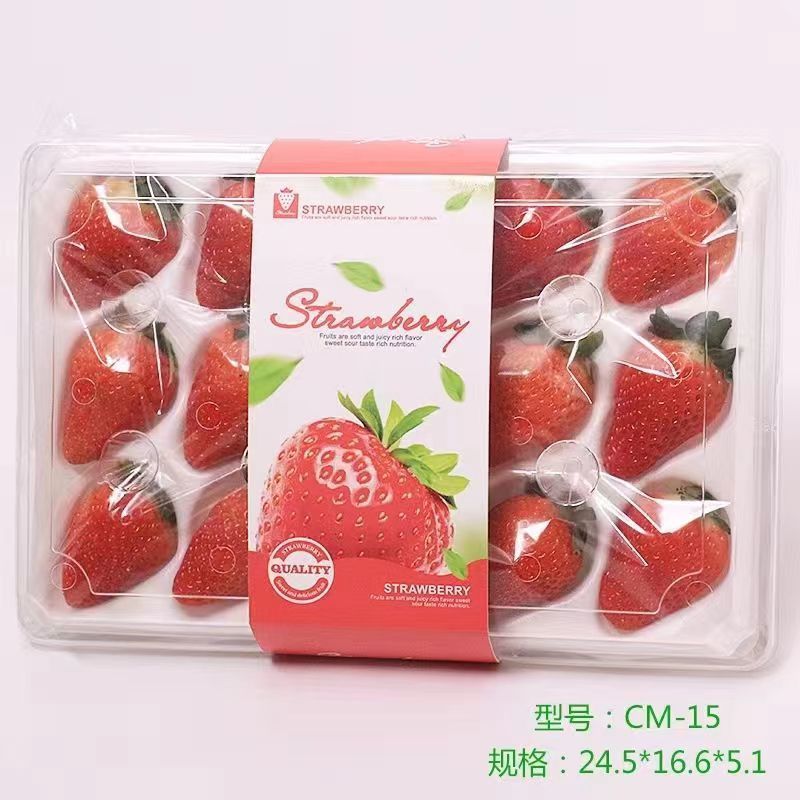 (牛商推荐）大凉山露天草莓自然熟，电商一件代发