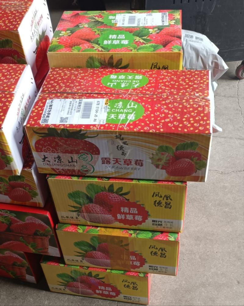 (牛商推荐）大凉山露天草莓自然熟，电商一件代发