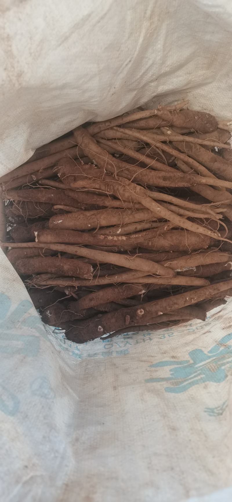 云南特产，甜归，松子，曼劲。