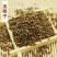 决明子草决明干净无杂质永盛药业品种齐全质量好价格低