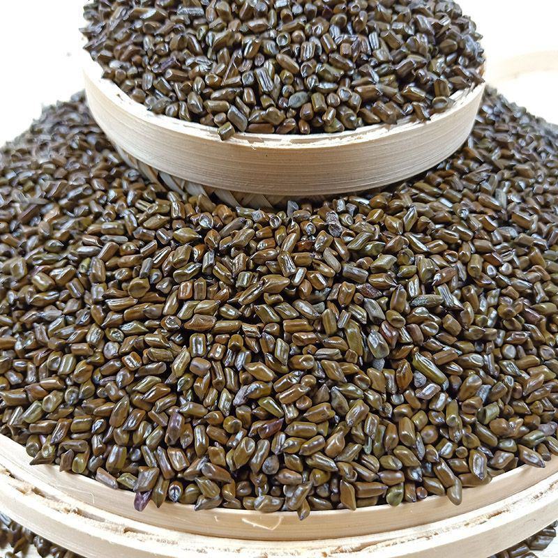 决明子草决明干净无杂质永盛药业品种齐全质量好价格低