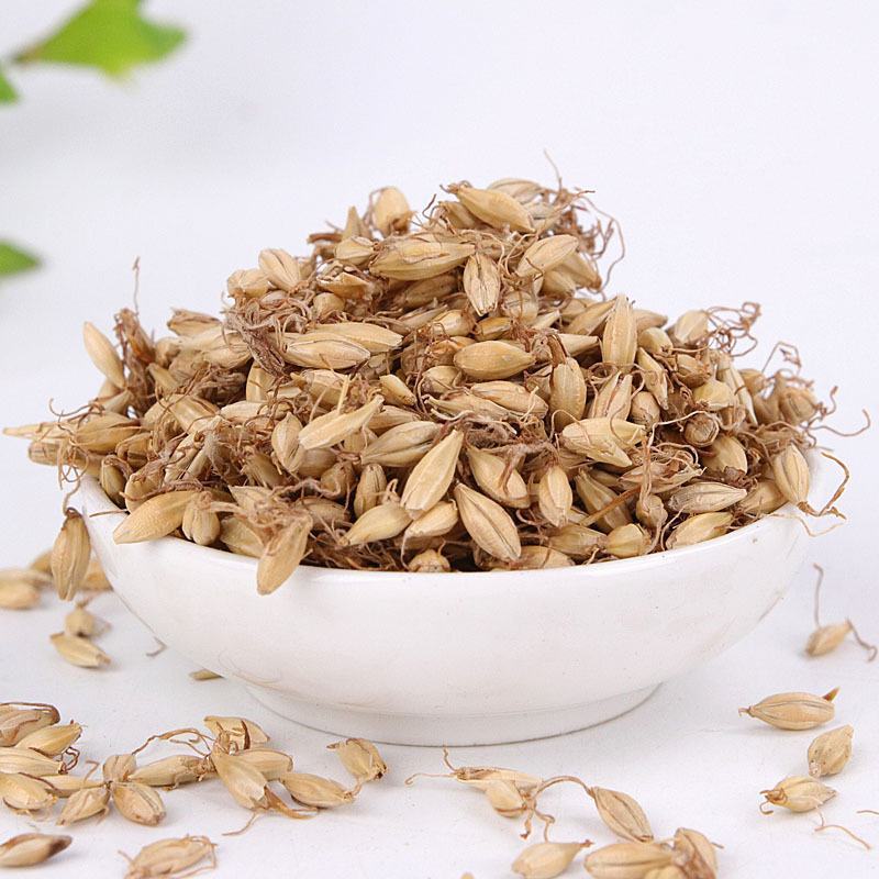 生麦芽产地山东永盛药业品种齐全质量好价格低