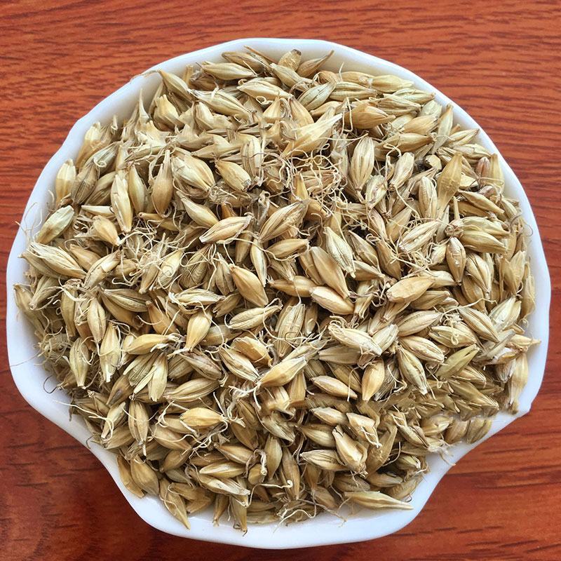 生麦芽产地山东永盛药业品种齐全质量好价格低