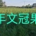 2023年春季苗木预售，一年生文冠果苗，二年生文冠果苗，