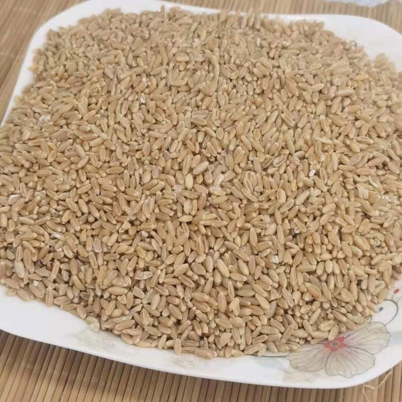 浮小麦统货产地山东永盛药业品种齐全质量好价格低