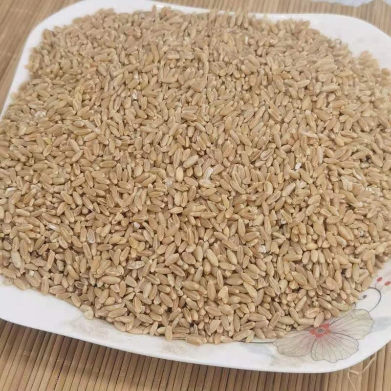 浮小麦统货产地山东永盛药业品种齐全质量好价格低
