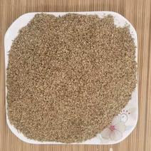 蛇床子净统货产地江苏永盛药业品种齐全质量好价格低