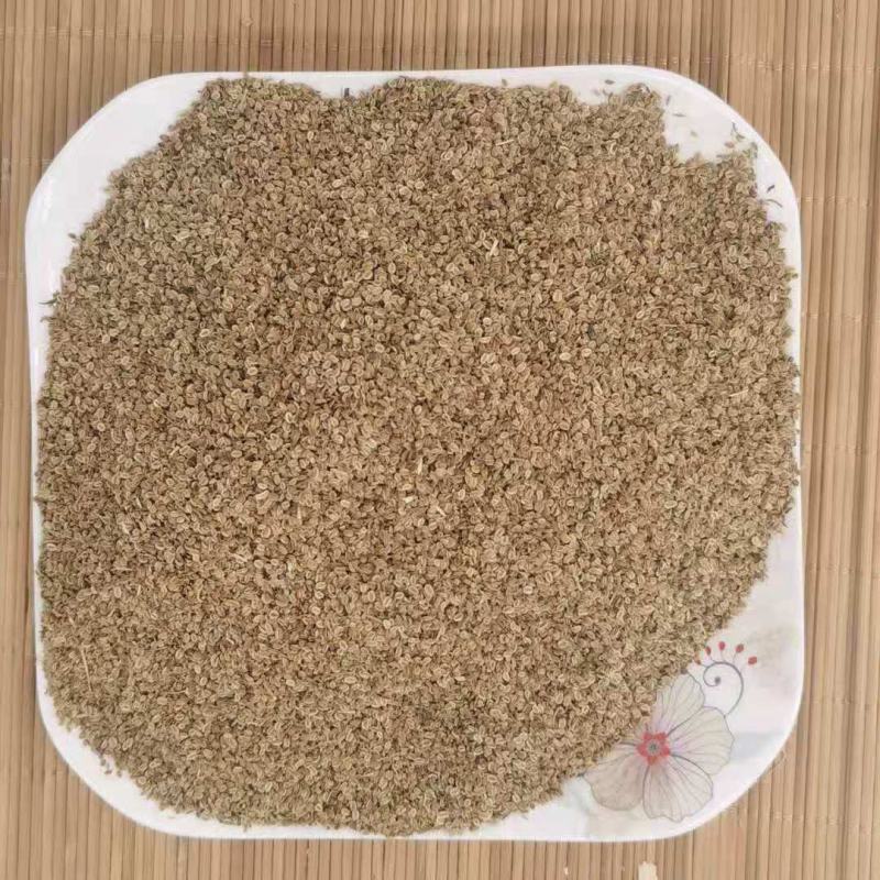 蛇床子净统货产地江苏永盛药业品种齐全质量好价格低