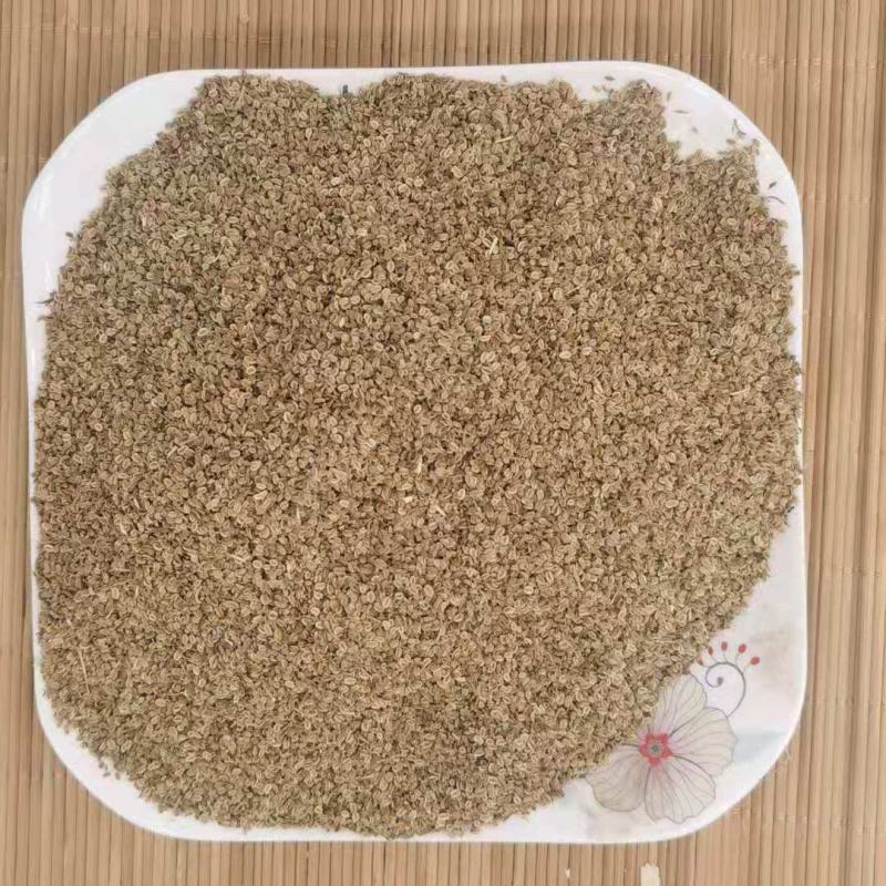 蛇床子净统货产地江苏永盛药业品种齐全质量好价格低