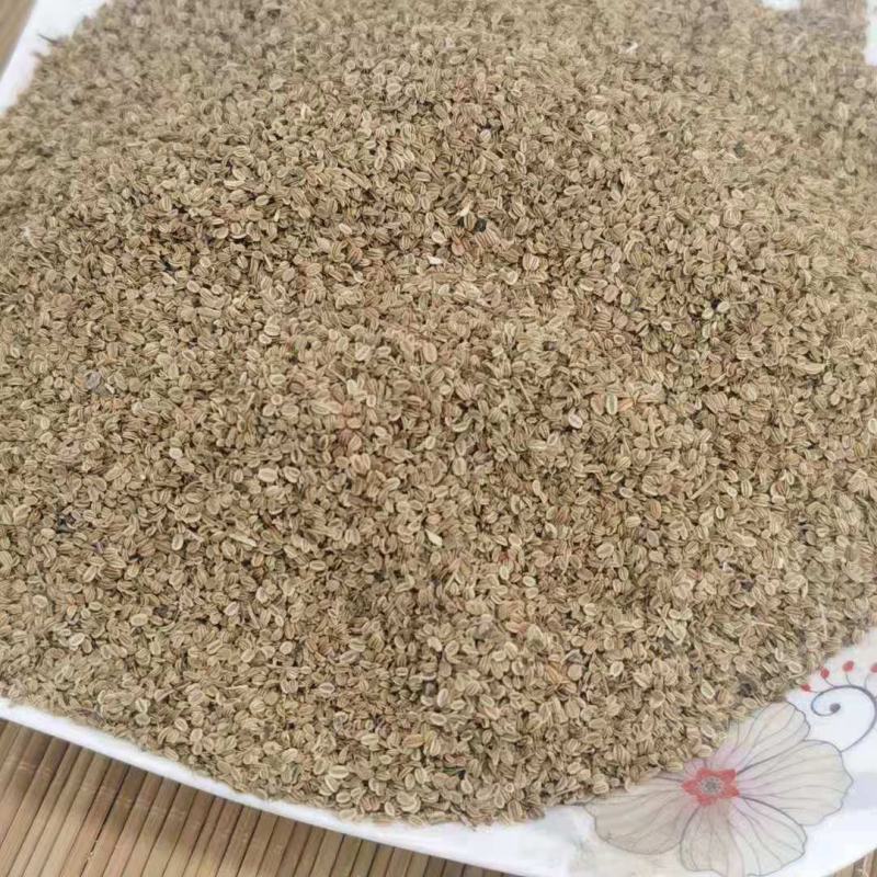蛇床子净统货产地江苏永盛药业品种齐全质量好价格低