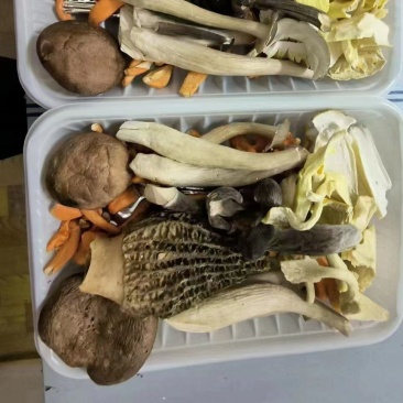冻干菌汤包