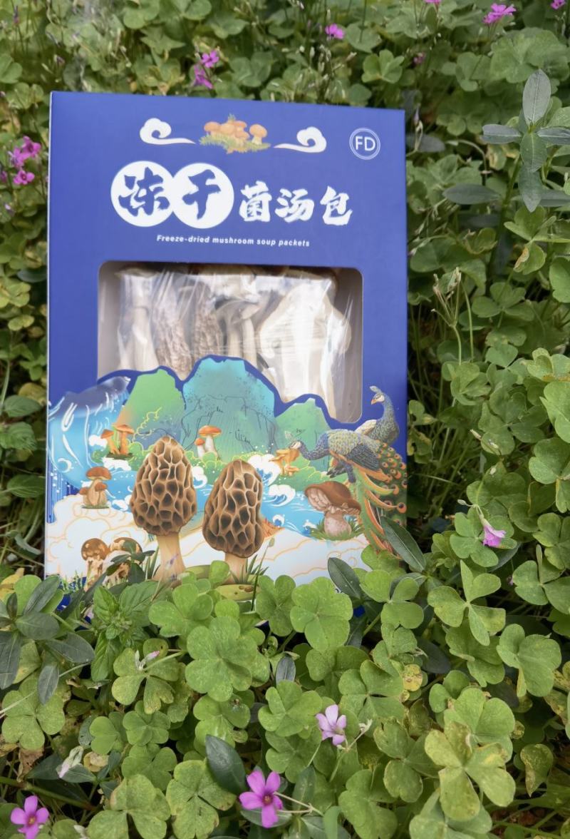冻干菌汤包
