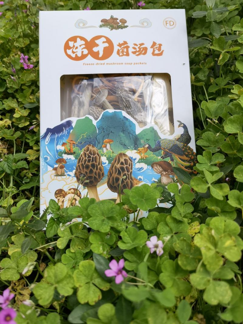冻干菌汤包