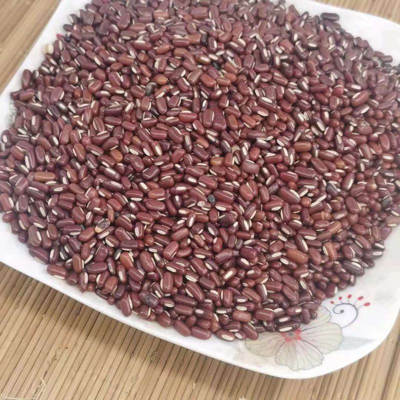 赤小豆净统货产地山东干净无杂质永盛药业品种齐全质好