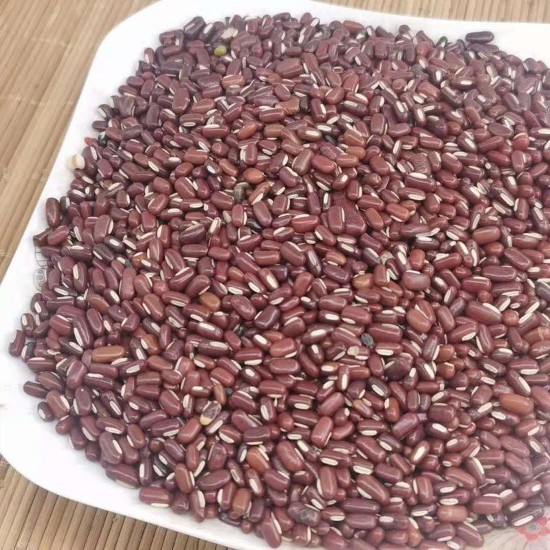 赤小豆净统货产地山东干净无杂质永盛药业品种齐全质好