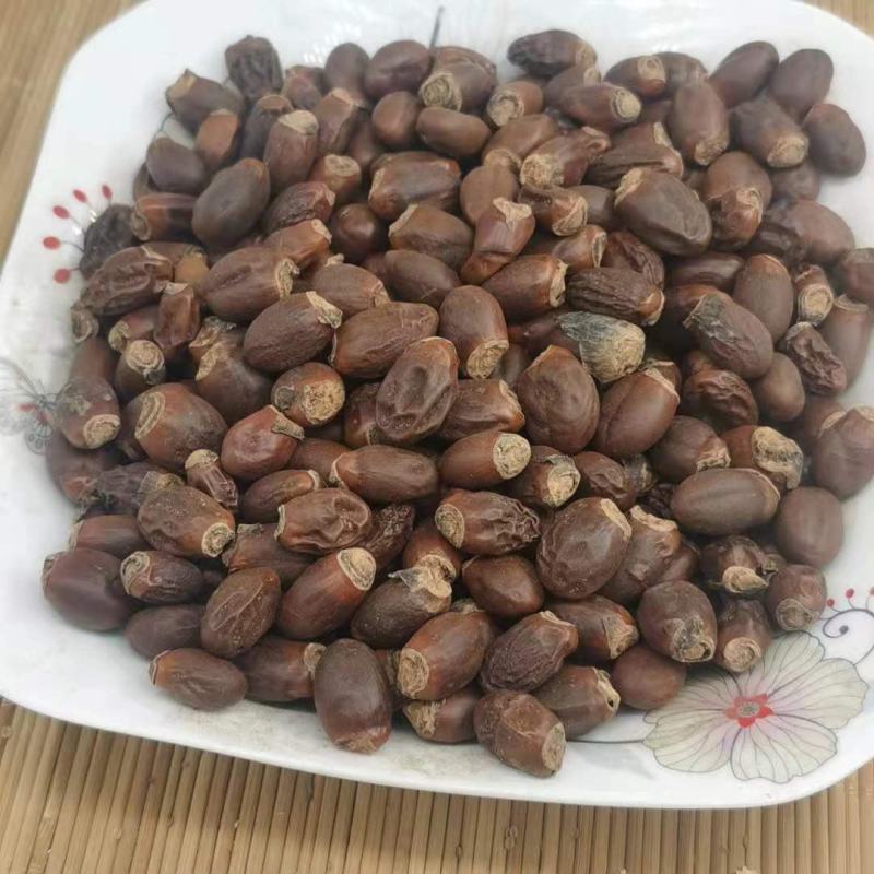 荔枝核统货产地广西永盛药业品种齐全质量好价格低