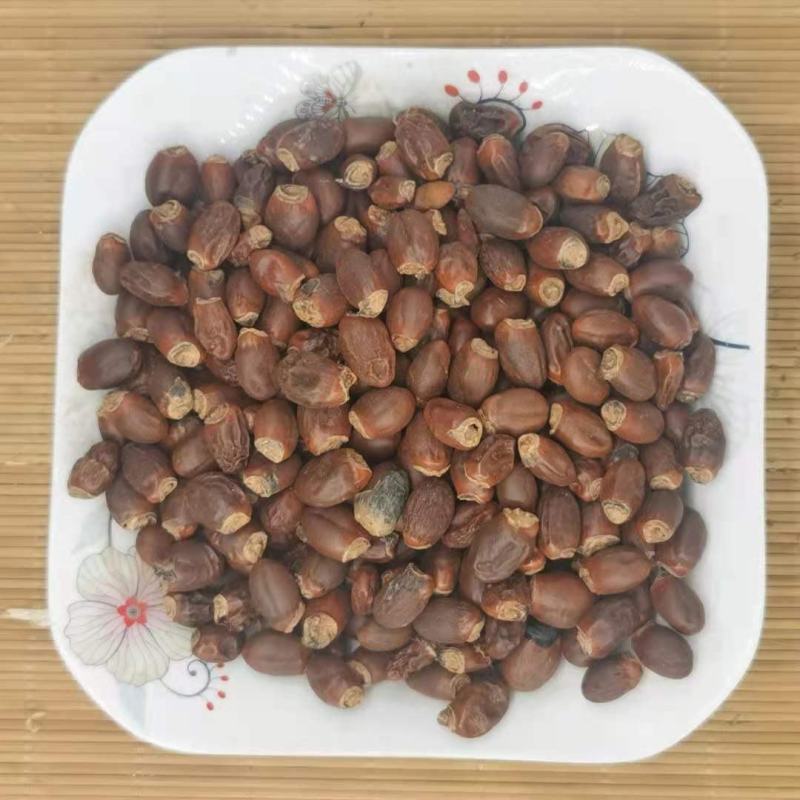荔枝核统货产地广西永盛药业品种齐全质量好价格低