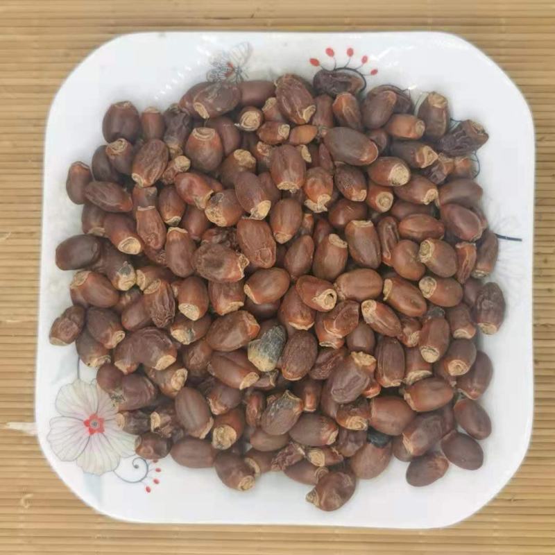 荔枝核统货产地广西永盛药业品种齐全质量好价格低