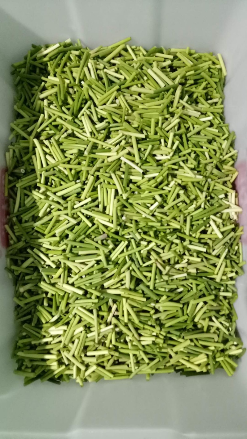 芹菜段，芹菜丁，去叶芹菜，净菜，全部厂家自产，质优价廉