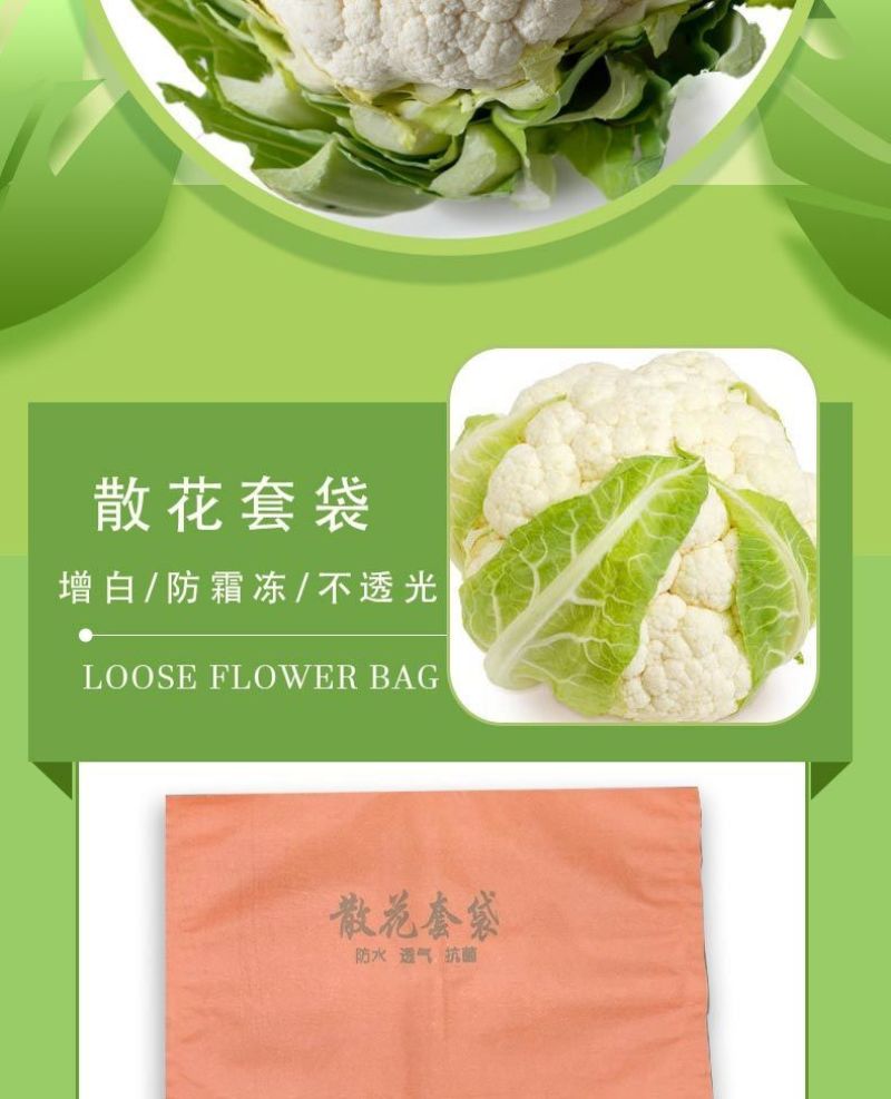 散花套袋防晒防虫防冻松花西兰花菜套袋套菜花的袋子散花套袋